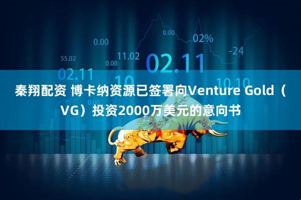秦翔配资 博卡纳资源已签署向Venture Gold（VG）投资2000万美元的意向书