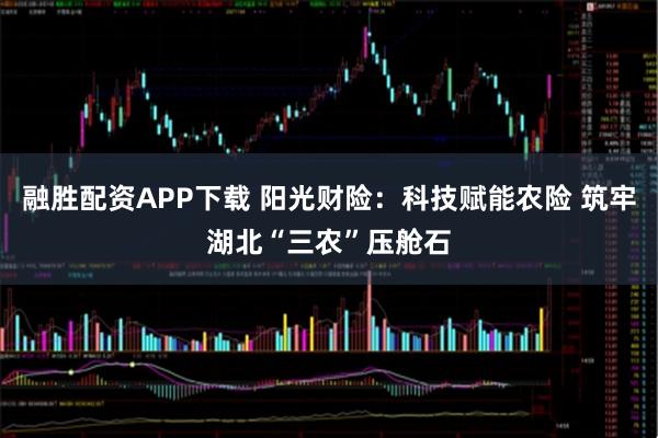 融胜配资APP下载 阳光财险：科技赋能农险 筑牢湖北“三农”压舱石