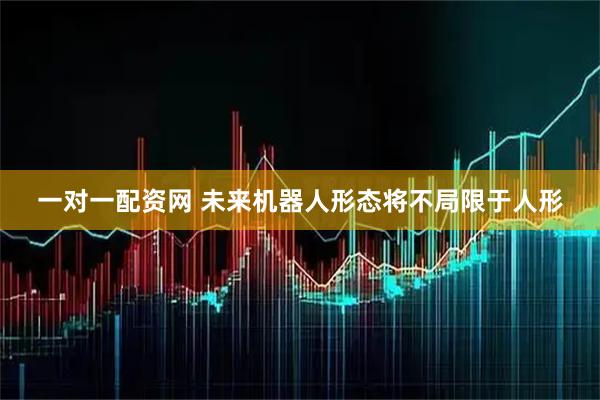 一对一配资网 未来机器人形态将不局限于人形