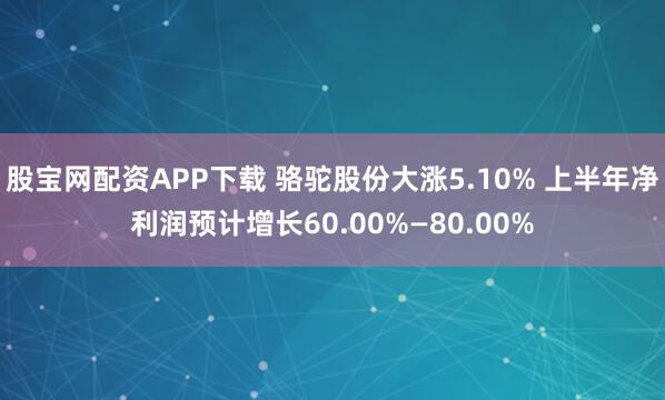 股宝网配资APP下载 骆驼股份大涨5.10% 上半年净利润预计增长60.00%—80.00%