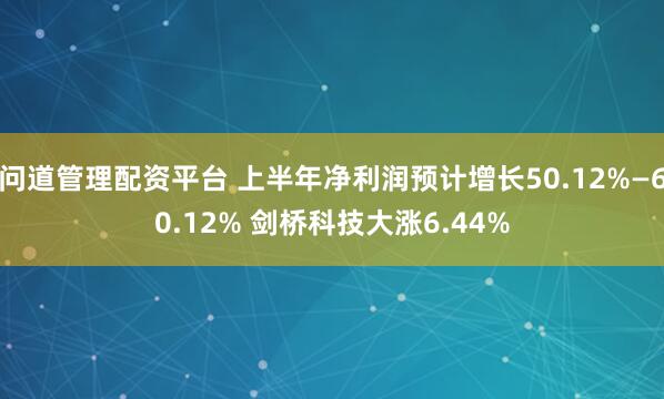 问道管理配资平台 上半年净利润预计增长50.12%—60.12% 剑桥科技大涨6.44%