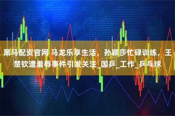黑马配资官网 马龙乐享生活，孙颖莎忙碌训练，王楚钦遭羞辱事件引发关注_国乒_工作_乒乓球