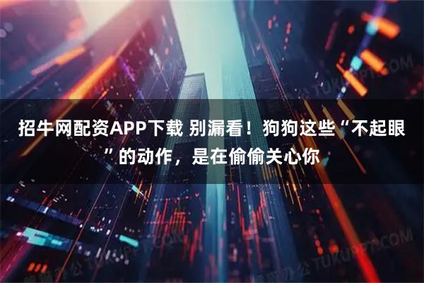 招牛网配资APP下载 别漏看！狗狗这些“不起眼”的动作，是在偷偷关心你